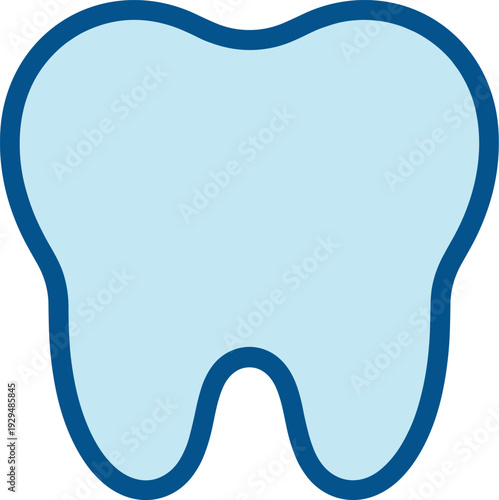 Anatomical illustration of a human molar with blue outline
