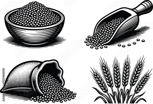 Grain and seed illustration with bowl, scoop, sack, wheat stalks, agricultural vector art, food production design, farming harvest storage concept