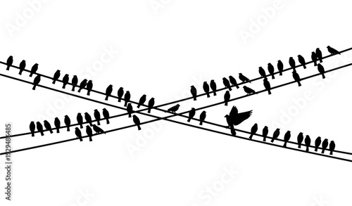 Minimal black birds sitting on power lines silhouette vector isolated on white background wide composition
