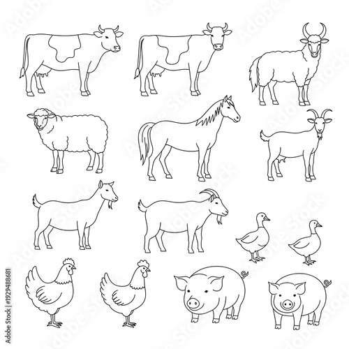 A collection of farm animals outlined in black on a white background.