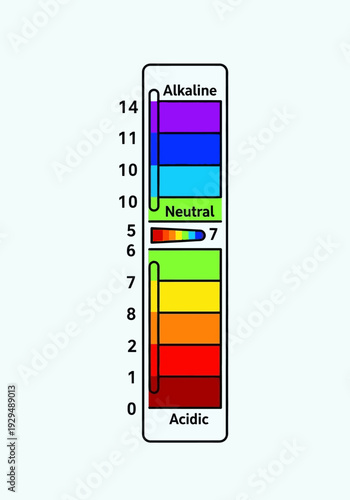 pH scale chart showing acidic neutral and alkaline levels.