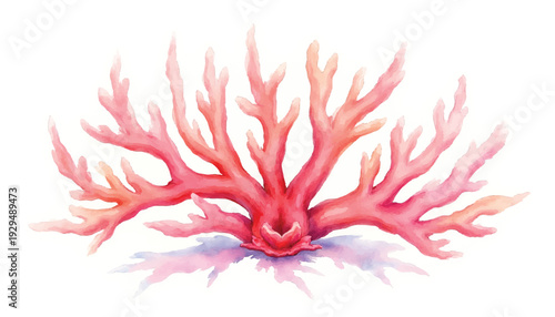 Vibrant pink coral reef illustration.