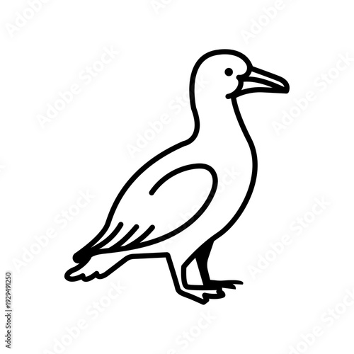 Illustration vectorielle minimaliste d’un cormoran en dessin contour noir et blanc. Oiseau marin emblématique des côtes et falaises du littoral atlantique