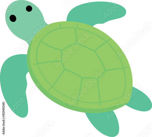 Illustration of a green sea turtle swimming in a white background