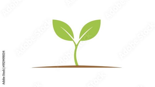 Green Sprout with Two Leaves Growing from the Soil Representing New Life and Nature on Isolated White Background