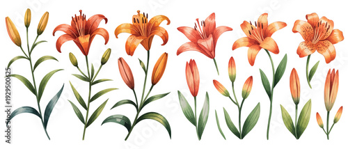 Vibrant watercolor floral collection with assorted blooming flowers and buds, perfect for elegant stationery and artistic projects