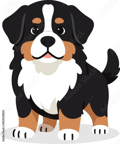 Cartoon bernese mountain dog standing on an isolated white background