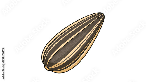 Detailed illustration of a single striped sunflower seed on a white background used as a snack or for oil production.