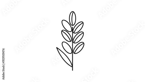 Simple black and white line art illustration of a wheat stalk or grain plant representing organic agriculture and food production.