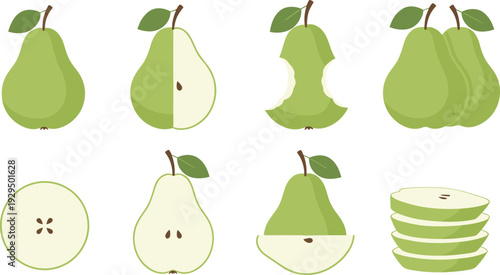 Green pear vector set. Whole, sliced, bitten and stacked pear illustrations. Fresh organic fruit collection isolated on white background for food design.