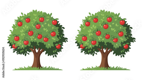 Pair of green lush apple trees filled with ripe red apples growing on a patch of grass in a sunny orchard or home garden.
