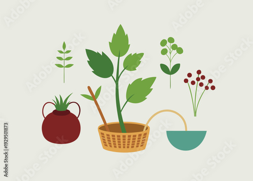 A flat vector set for foraging wild food, including a potted plant, berries, a basket, and a pitcher.