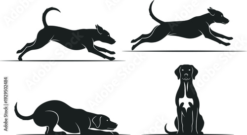 Black silhouette illustrations of dogs in playful, running, crouching, leaping, and sitting poses, representing pet behavior, animal movement, canine activity, and artistic vector design.