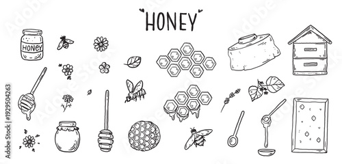 Hand drawn honey sketch. Doodles set. Hand drawn vector illustration for packaging design. Honeycomb, bee, flowers, jar of honey. Honey quirky icons, simple sketch style. Minimalist line art.