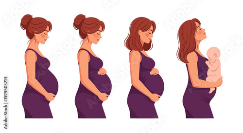 Motherhood Journey: Pregnancy Stages, Expectant Mom to Holding Newborn Baby Illustration