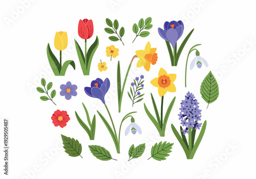 A cheerful collection of spring flowers including tulips, daffodils, crocuses, snowdrops, and hyacinths, with green leaves, perfect for festive greetings and seasonal decor