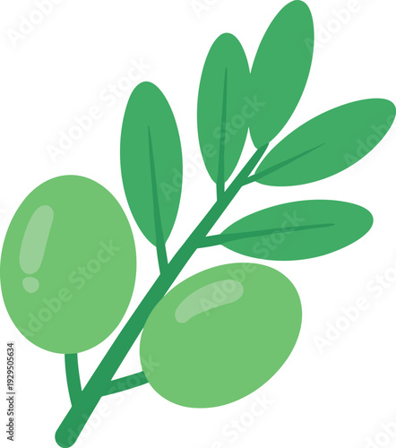 Fresh green olives on a branch with leaves evoke nature's bounty