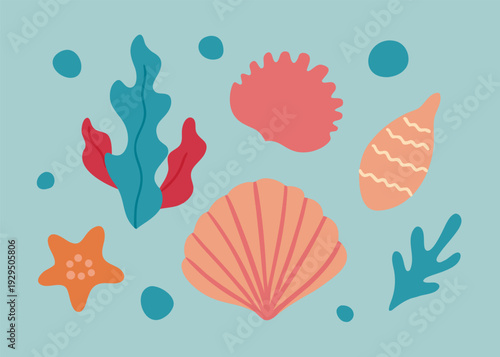 Whimsical collection of hand drawn sea shells, coral, and a starfish with scattered bubbles on a light blue.