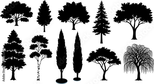 Detailed black tree silhouettes for architectural and landscape design