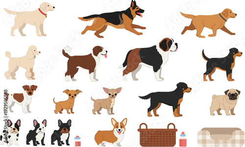 Various Dog Breeds Collection with Cute Domestic Pets and Accessories, Cartoon Canine Vector Illustration Set