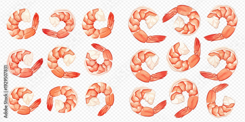Set of cooked shrimp isolated on a transparent background, seafood ingredient for cooking, vector illustration.
