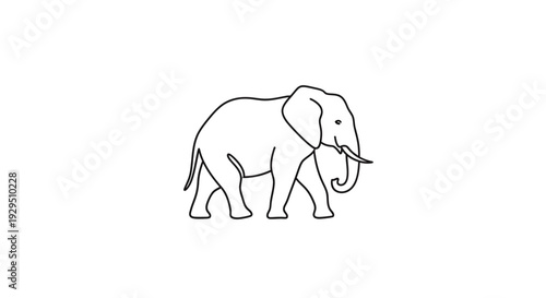 Simple Line Drawing of an Elephant.