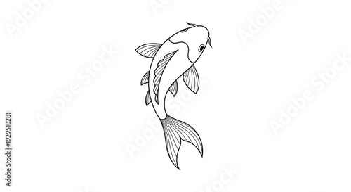 Simple Line Drawing of Koi Fish Swimming.