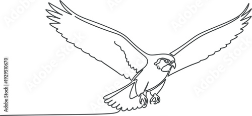 Single line drawing of a majestic falcon bird in full flight descending toward viewer
