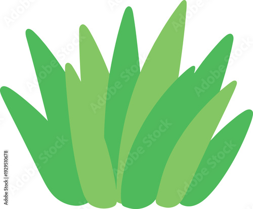 Clump of spiky grass with a vibrant green color stands on a white background