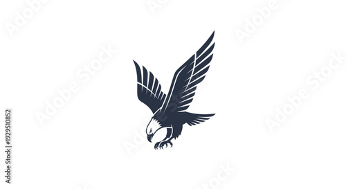 American Bald Eagle in Flight.