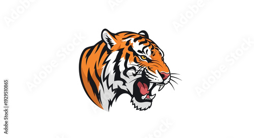 Angry tiger head with open mouth.