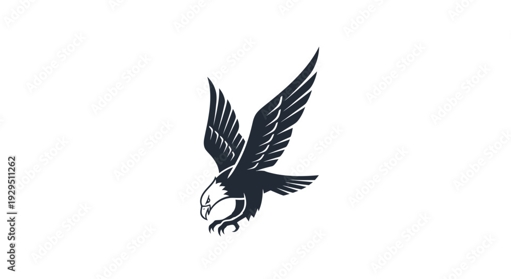 Obraz premium Black eagle in flight descending.