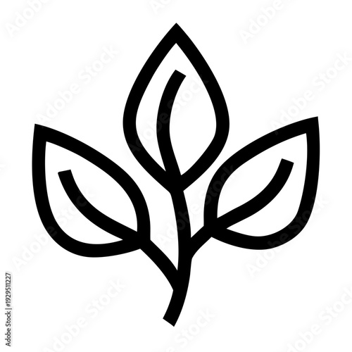 Wallpaper Mural Black and white plant illustration with three leaves on a stem, isolated on transparent background Torontodigital.ca