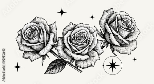 Monochromatic Rose Illustration with Stars and Compass Design