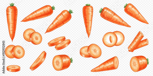 Fresh organic carrots in various forms including whole, sliced, and chopped pieces, perfect for healthy cooking and nutrition concepts.