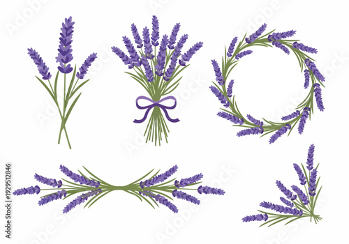 Beautiful floral arrangements featuring purple lavender sprigs, bouquets, and wreaths, perfect for decorative purposes and natural beauty