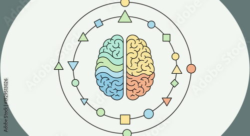 Human brain illustration surrounded by geometric shapes in circular motion, depicting mental processes and cognitive functions visually represented