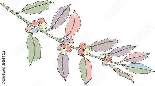 Colorful mistletoe branch with vibrant leaves and berries