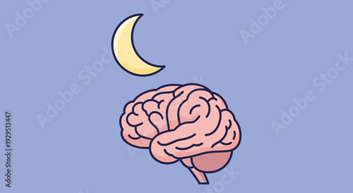 Illustration of a human brain under a crescent moon in a dreamy night sky