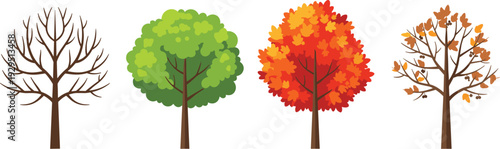 Four Stylized Trees Representing Seasonal Changes with Bare Winter, Green Spring, Vibrant Autumn, and Sparse Late Autumn Foliage