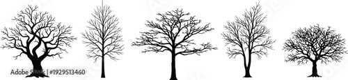 Five distinct leafless tree silhouettes showcasing diverse branching patterns, trunk shapes, and canopy structures, representing artistic diversity and natural morphology.