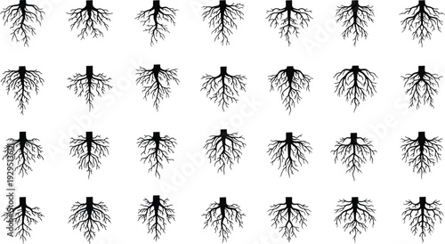 Grid of Stylized Tree Root Systems in Black Silhouette, Five Rows Seven Columns Showing Diverse Branching Patterns and Density