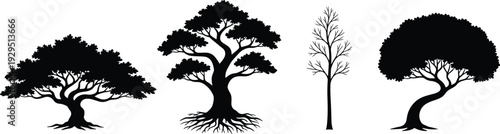 Set of Four Stylized Tree Silhouettes with Unique Branching Patterns, Canopy Shapes, and Trunks Representing Morphology and Design