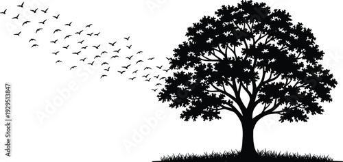Silhouette of Large Tree with Dense Foliage and Birds Flying Away, Symbolizing Freedom, Transformation, and Passage of Time