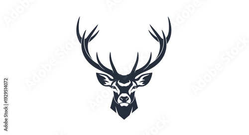 Deer head with large antlers closeup.