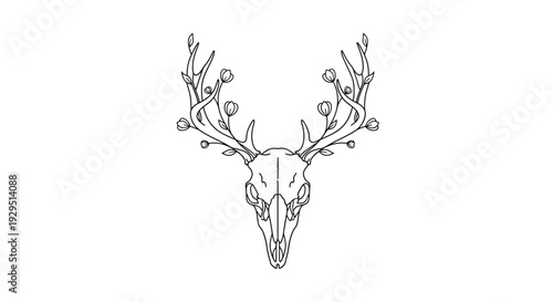 Deer skull with antlers and flowers.