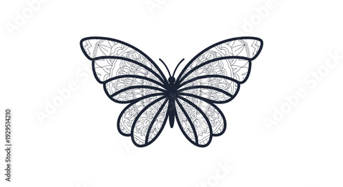 Detailed drawing of a butterfly.