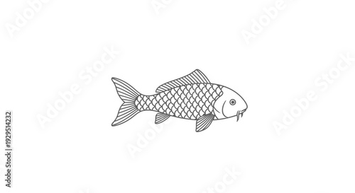 Detailed drawing of a single fish.