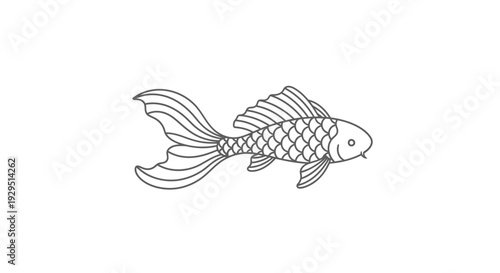 Detailed illustration of a koi fish.