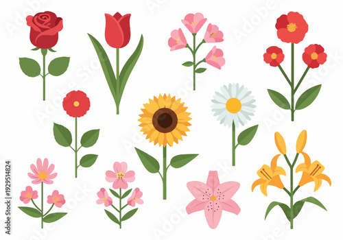 A vibrant collection of various flowers, including roses, tulips, sunflowers, and lilies, beautifully illustrated to showcase their unique colors and shapes